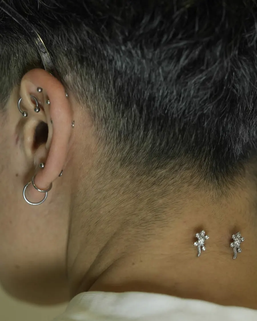Conch piercing uygulaması